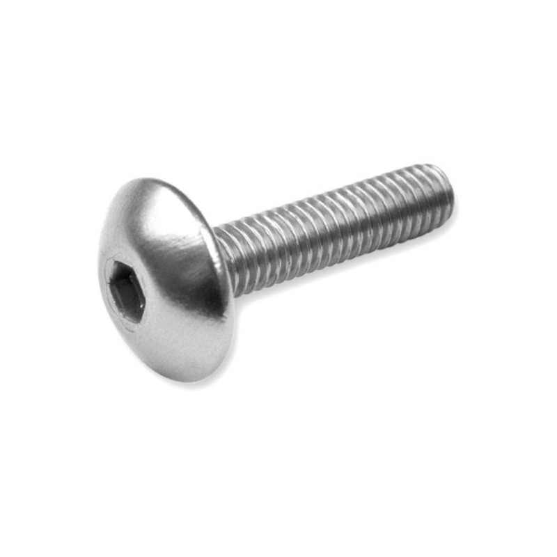 V PARTS (VICMA) ZESTAW ŚRUB OWIEWKI M6X25 (6SZT.) KOLOR SREBRNY (TA625PL)