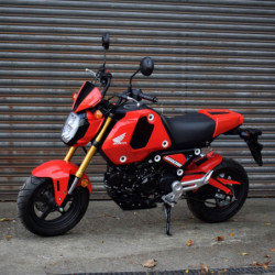 Osłona siedzenia Pyramid Gayety Red & Gloss Black Honda MSX 125 2021-Aktualne