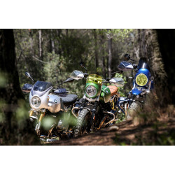 Fender eliminator LOW Wunderlich do BMW R nineT