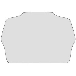 Folia ochronna na wyświetlacz Triumph Speed Triple1200 RS [21-]