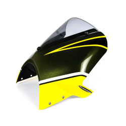 Owiewka Pyramid do Kawasaki Z 900 RS [19-]
